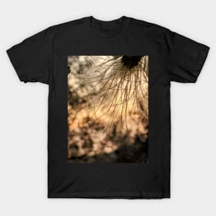 Gone to Seed T-Shirt